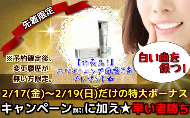 f:id:white-teeth:20170215005409j:plain