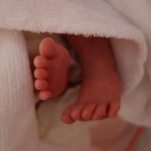 f:id:white_cake:20150116152319j:image f:id:white_cake:20150116152319j:image