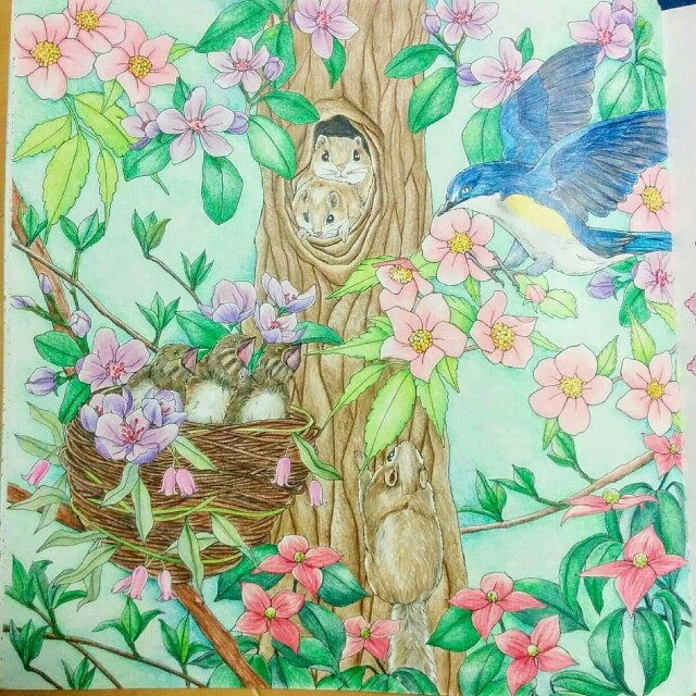 夏のレビュー企画 幸せのメヌエット 前編 塗り絵をめぐる冒険 夏のレビュー企画 幸せのメヌエット 前編 塗り絵をめぐる冒険