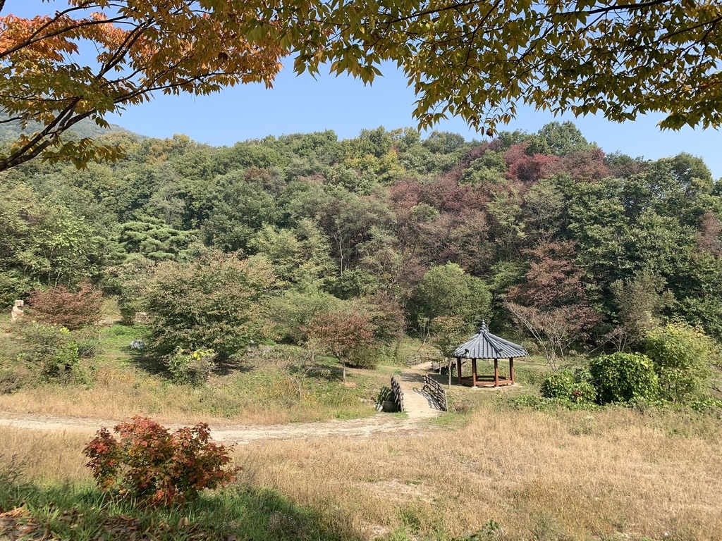 f:id:whiteandpeach:20181028101056j:plain f:id:whiteandpeach:20181028101056j:plain