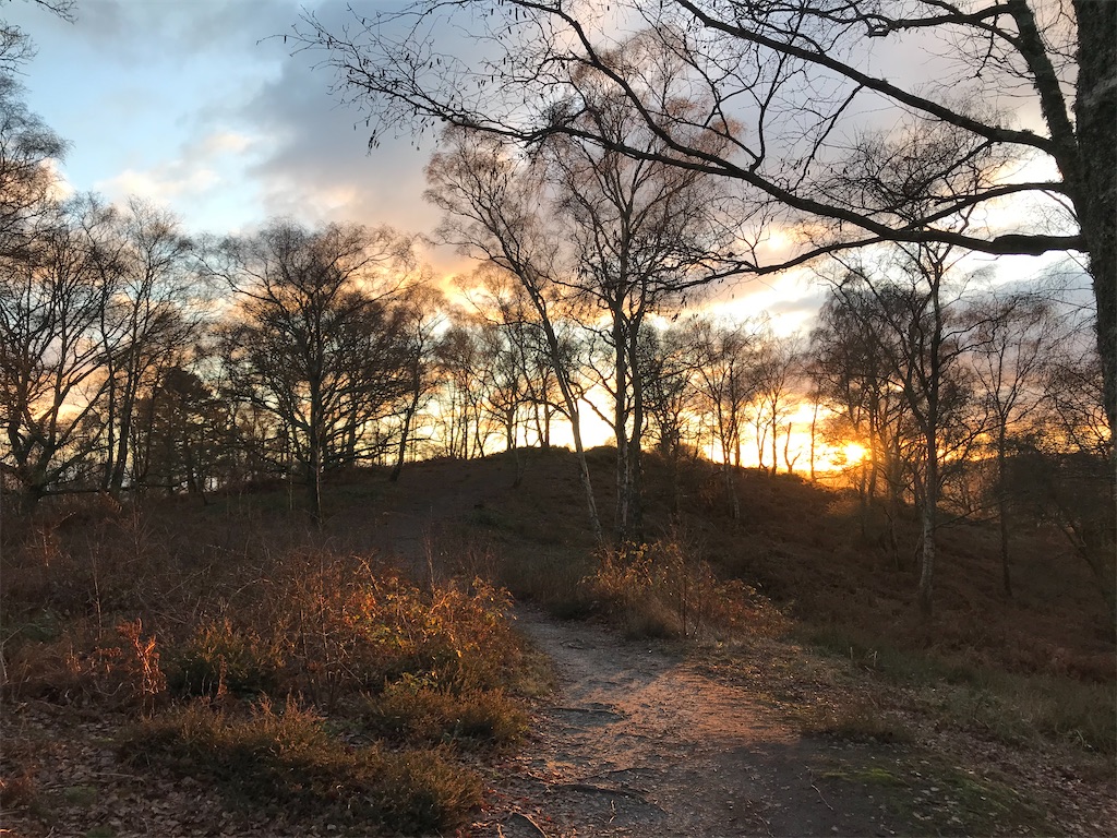 f:id:whitebridgeuk:20201225045832j:image f:id:whitebridgeuk:20201225045832j:image