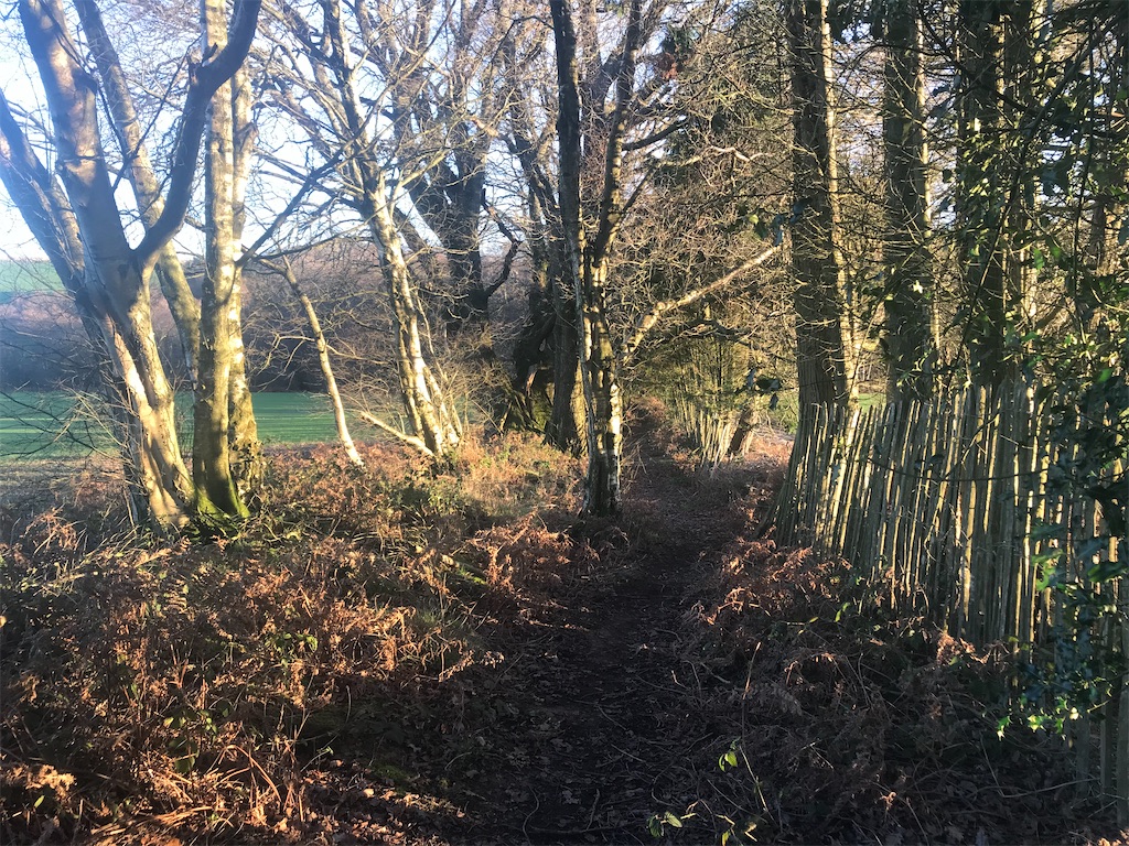 f:id:whitebridgeuk:20201227063024j:image f:id:whitebridgeuk:20201227063024j:image