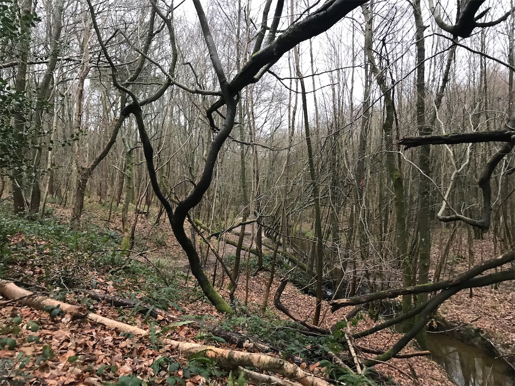 f:id:whitebridgeuk:20201227063032j:image f:id:whitebridgeuk:20201227063032j:image