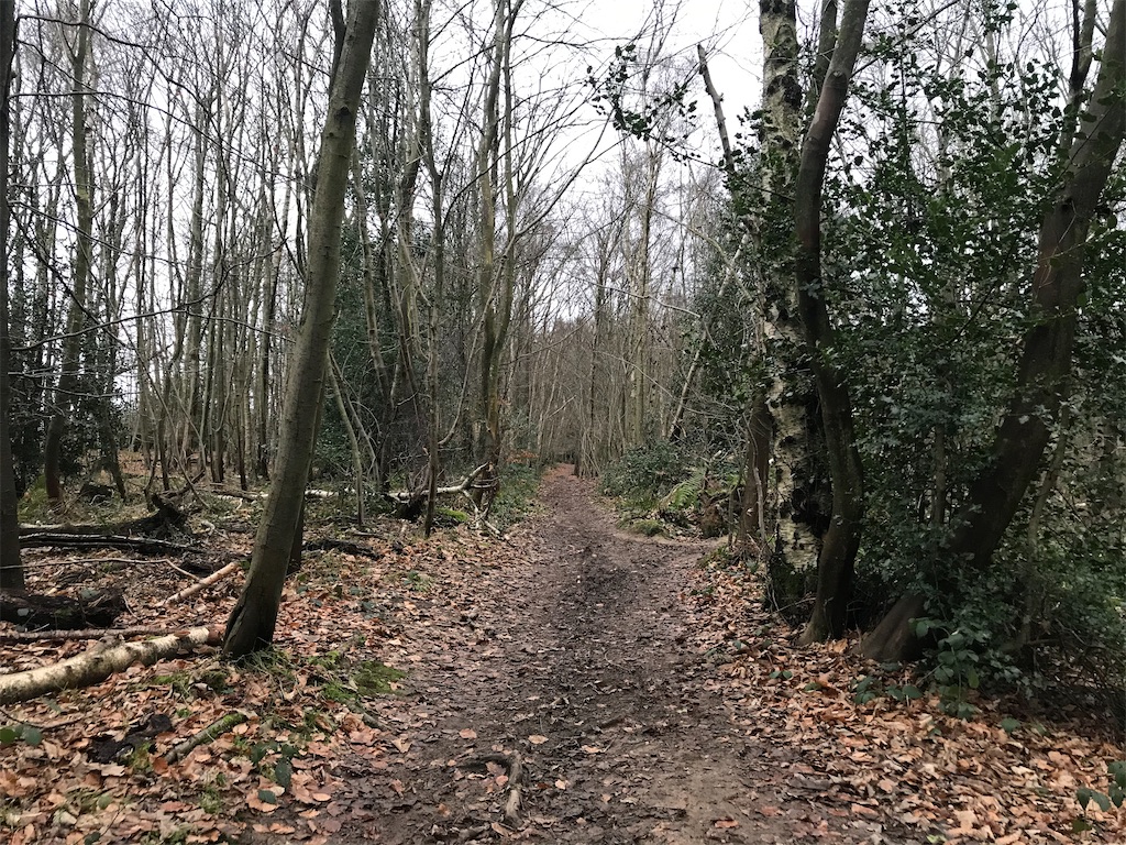 f:id:whitebridgeuk:20201227063115j:image f:id:whitebridgeuk:20201227063115j:image