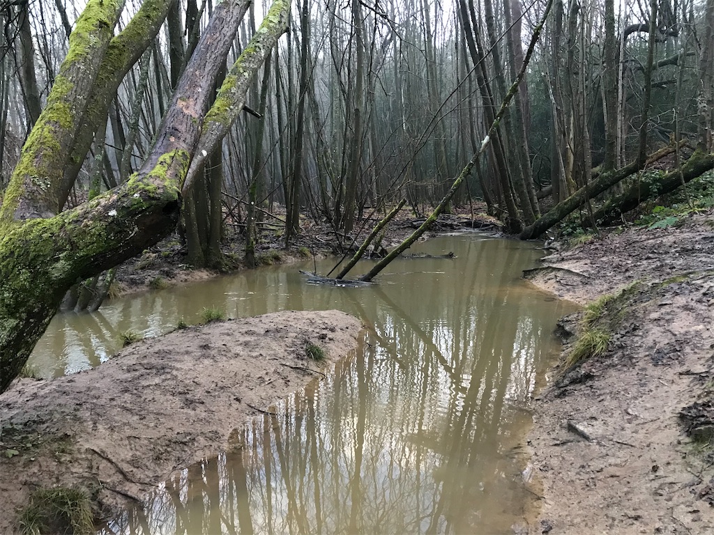 f:id:whitebridgeuk:20210117050109j:image f:id:whitebridgeuk:20210117050109j:image