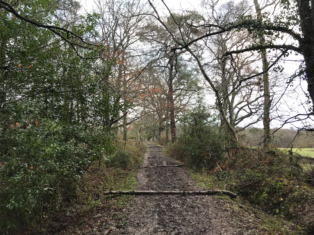 f:id:whitebridgeuk:20210117051000j:image f:id:whitebridgeuk:20210117051000j:image