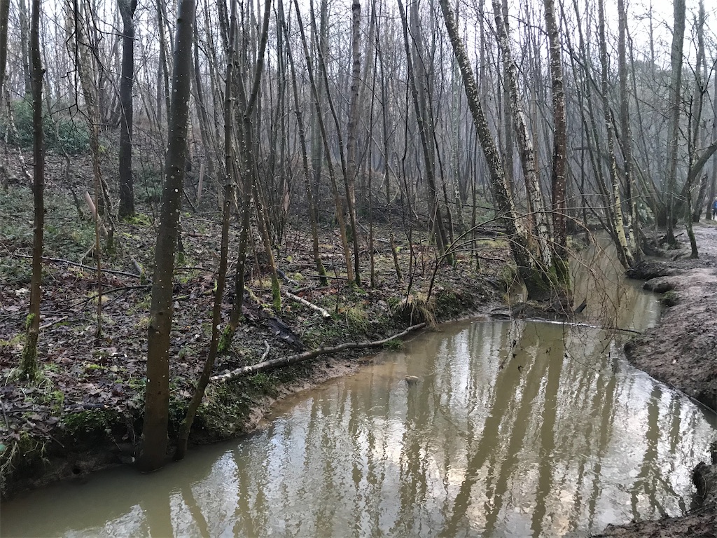 f:id:whitebridgeuk:20210117051101j:image f:id:whitebridgeuk:20210117051101j:image