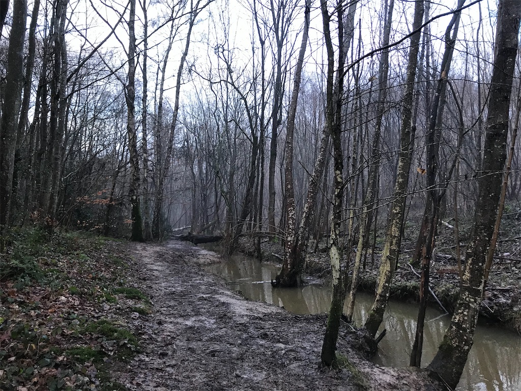 f:id:whitebridgeuk:20210117051107j:image f:id:whitebridgeuk:20210117051107j:image