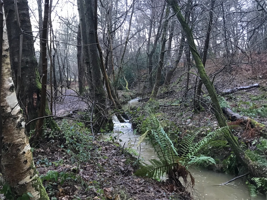 f:id:whitebridgeuk:20210117051425j:image f:id:whitebridgeuk:20210117051425j:image