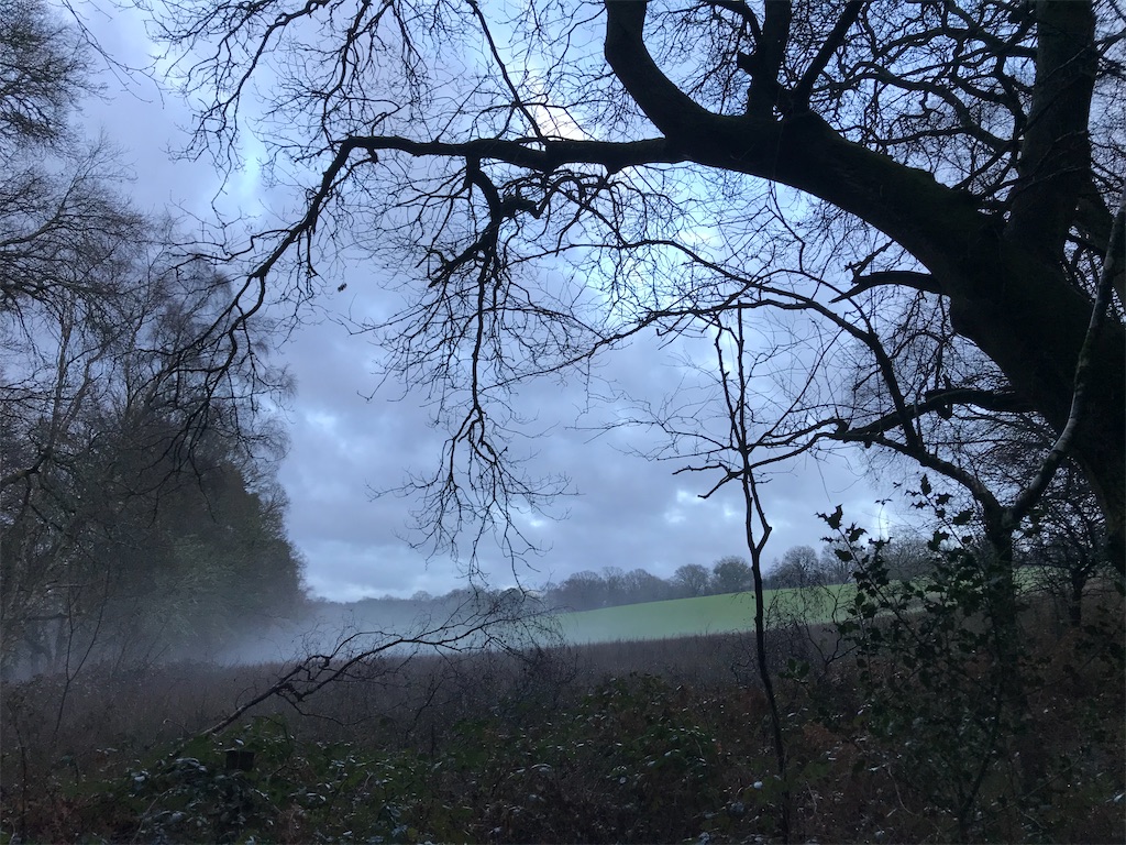 f:id:whitebridgeuk:20210117051648j:image f:id:whitebridgeuk:20210117051648j:image