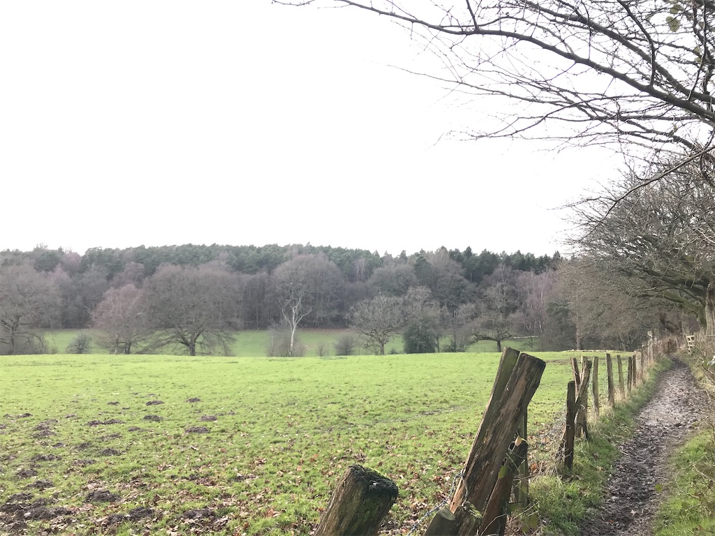 f:id:whitebridgeuk:20210118050325j:image f:id:whitebridgeuk:20210118050325j:image