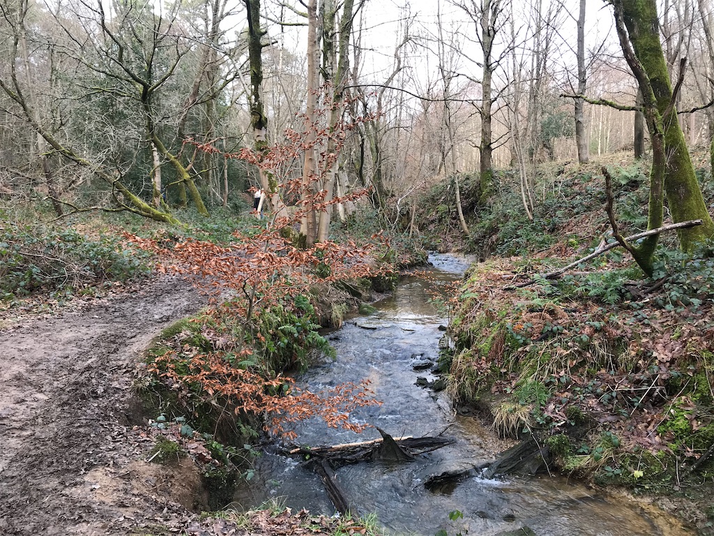 f:id:whitebridgeuk:20210118050711j:image f:id:whitebridgeuk:20210118050711j:image