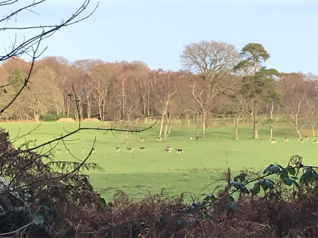 f:id:whitebridgeuk:20210118050732j:image f:id:whitebridgeuk:20210118050732j:image