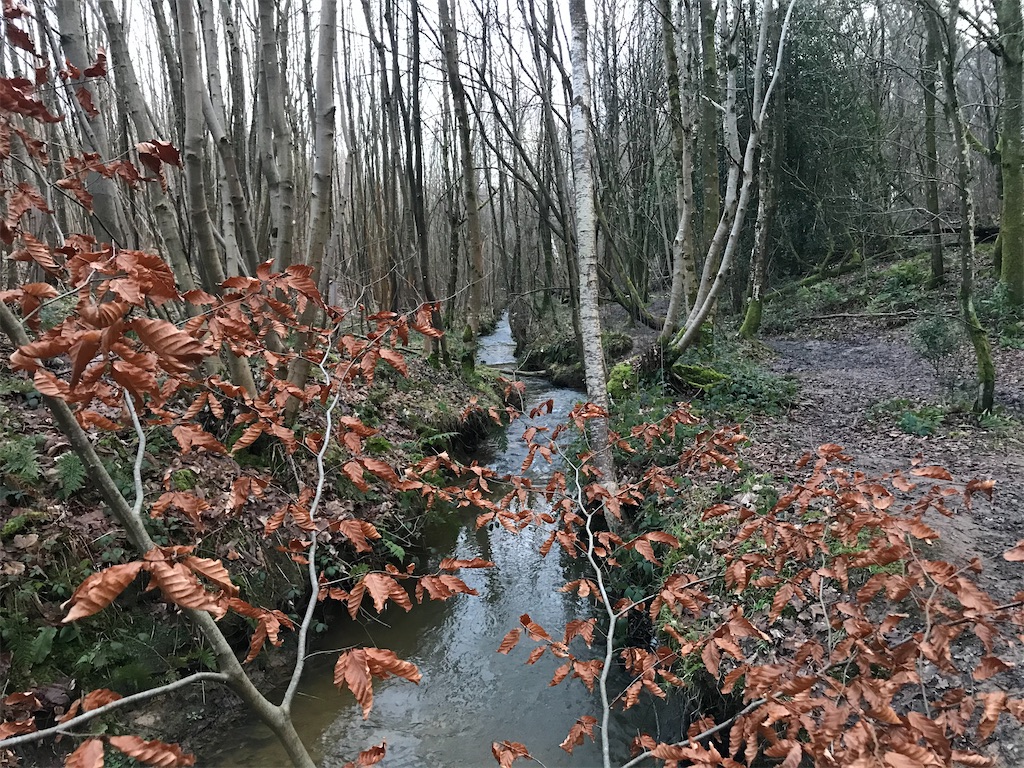 f:id:whitebridgeuk:20210118051526j:image f:id:whitebridgeuk:20210118051526j:image