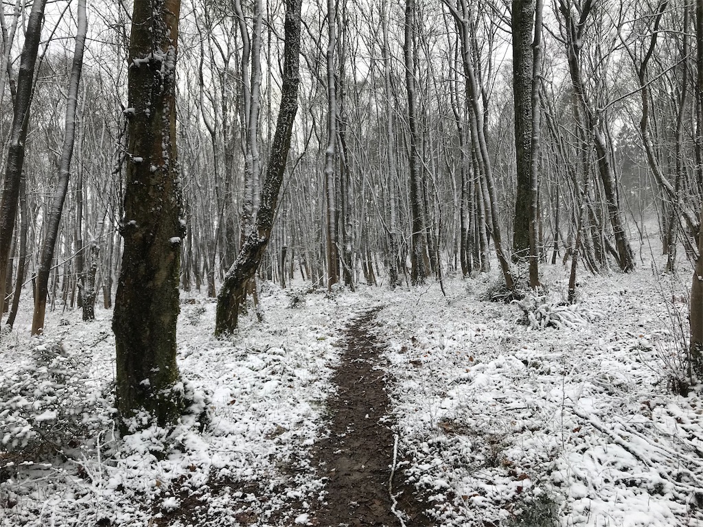 f:id:whitebridgeuk:20210208043543j:image f:id:whitebridgeuk:20210208043543j:image