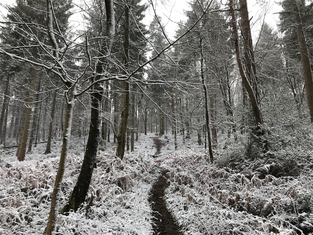 f:id:whitebridgeuk:20210208043731j:image f:id:whitebridgeuk:20210208043731j:image