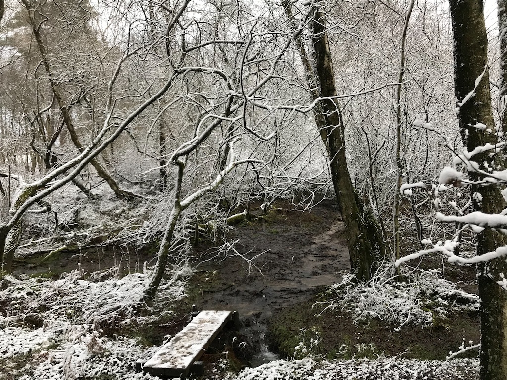 f:id:whitebridgeuk:20210208043758j:image f:id:whitebridgeuk:20210208043758j:image