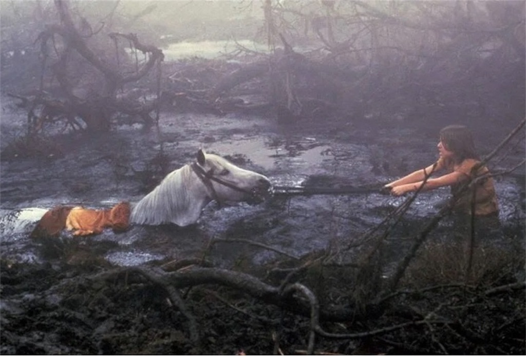 f:id:whitebridgeuk:20210208045820j:image f:id:whitebridgeuk:20210208045820j:image