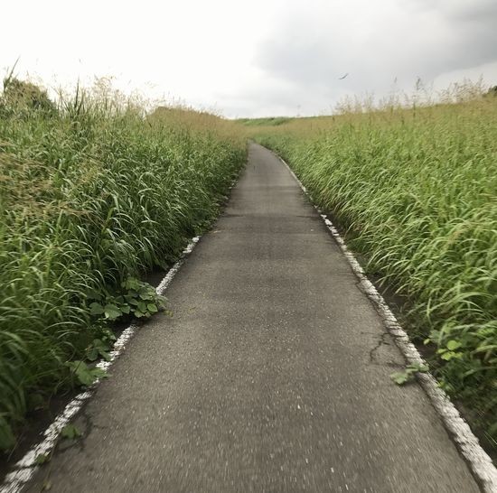 f:id:whitecollarcyclist:20180911175135j:plain