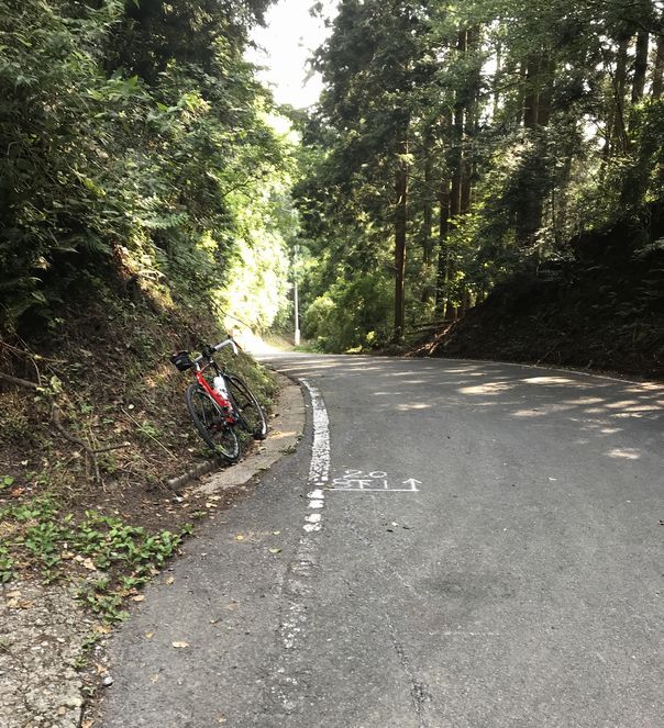 f:id:whitecollarcyclist:20190805113123j:plain f:id:whitecollarcyclist:20190805113123j:plain