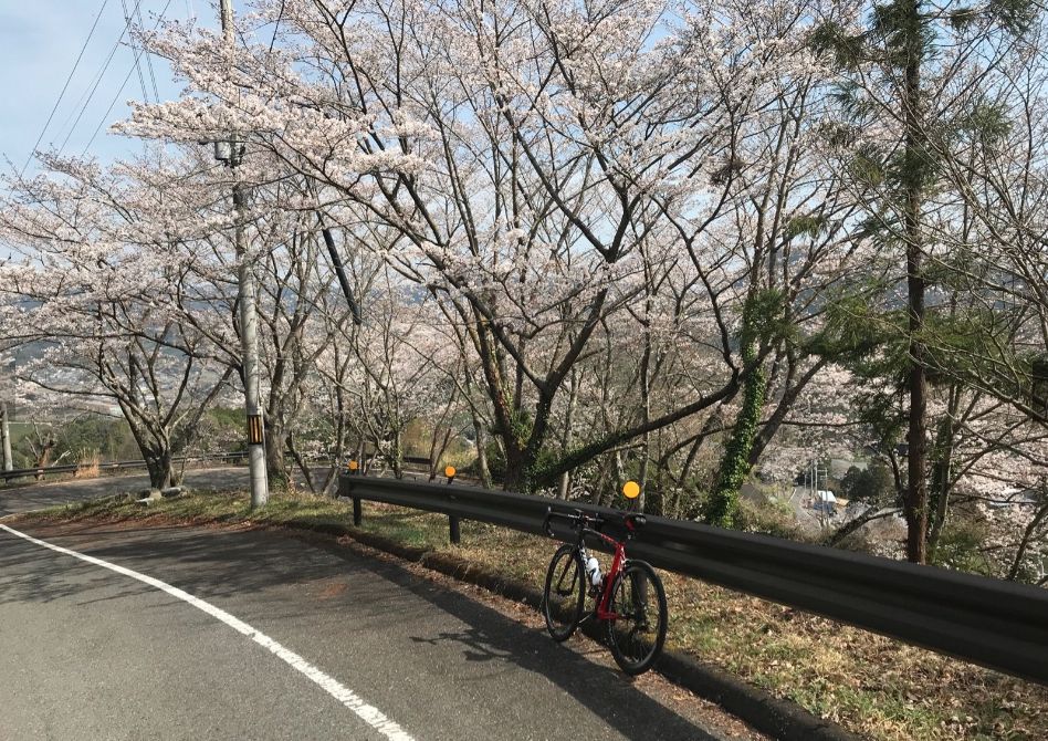 f:id:whitecollarcyclist:20210329141101j:plain