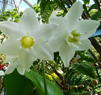 f:id:whitecyclamen:20200220183755j:plain