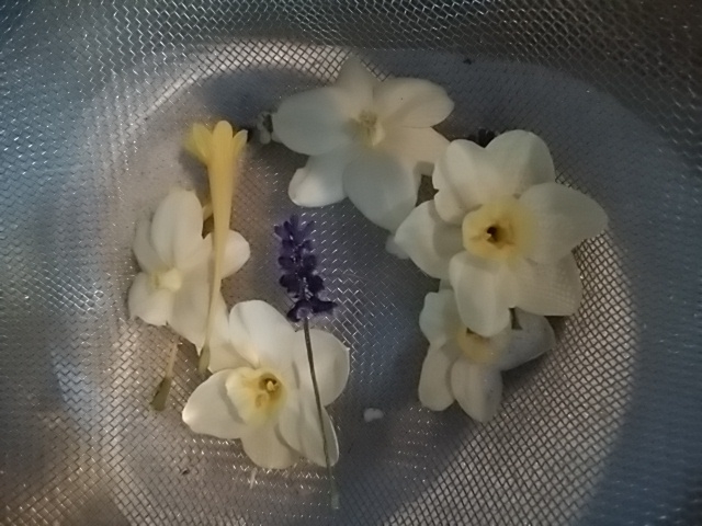 f:id:whitecyclamen:20200405172726j:plain