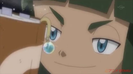 アニポケxy Z感想 メガジュカイン対ライチュウ 経験値いただきます あずの道具箱