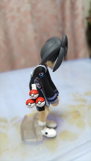 ポケモン - 【輸送箱未開封】スケールワールド サイトウ、オニオンセット ポケモンスケールワールドに「サイトウ＆カポエラー」と