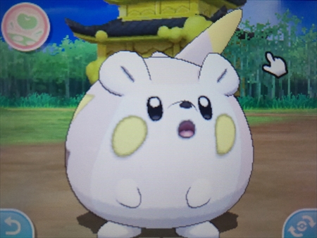 仲間呼びで色違いトゲデマルゲットです あずの道具箱