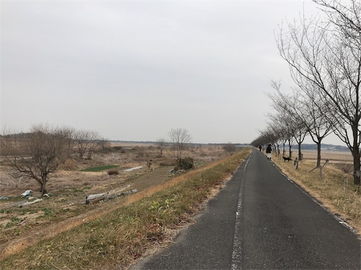 f:id:whitemotor:20190219124719j:image f:id:whitemotor:20190219124719j:image