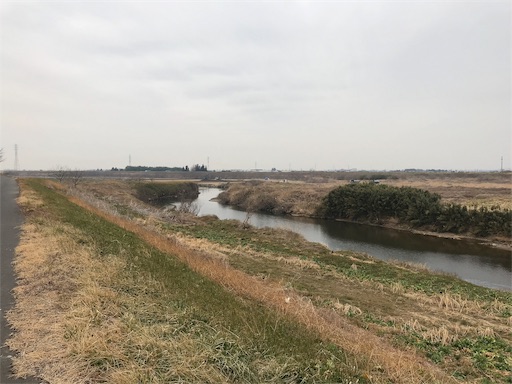 f:id:whitemotor:20190219124728j:image f:id:whitemotor:20190219124728j:image