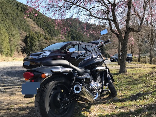 f:id:whitemotor:20190408200350j:image