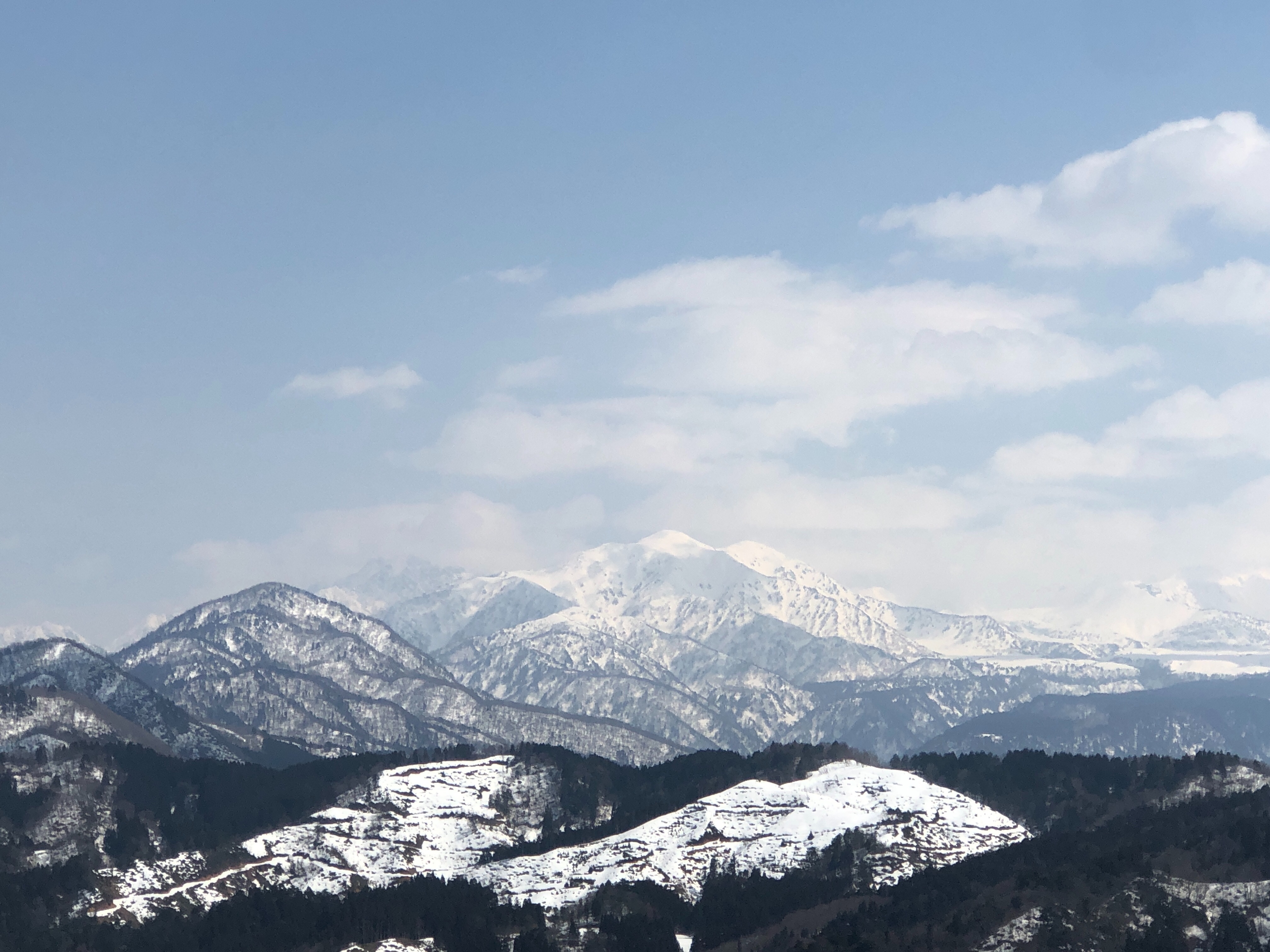 f:id:whitemountain:20250331220041j:image f:id:whitemountain:20250331220041j:image