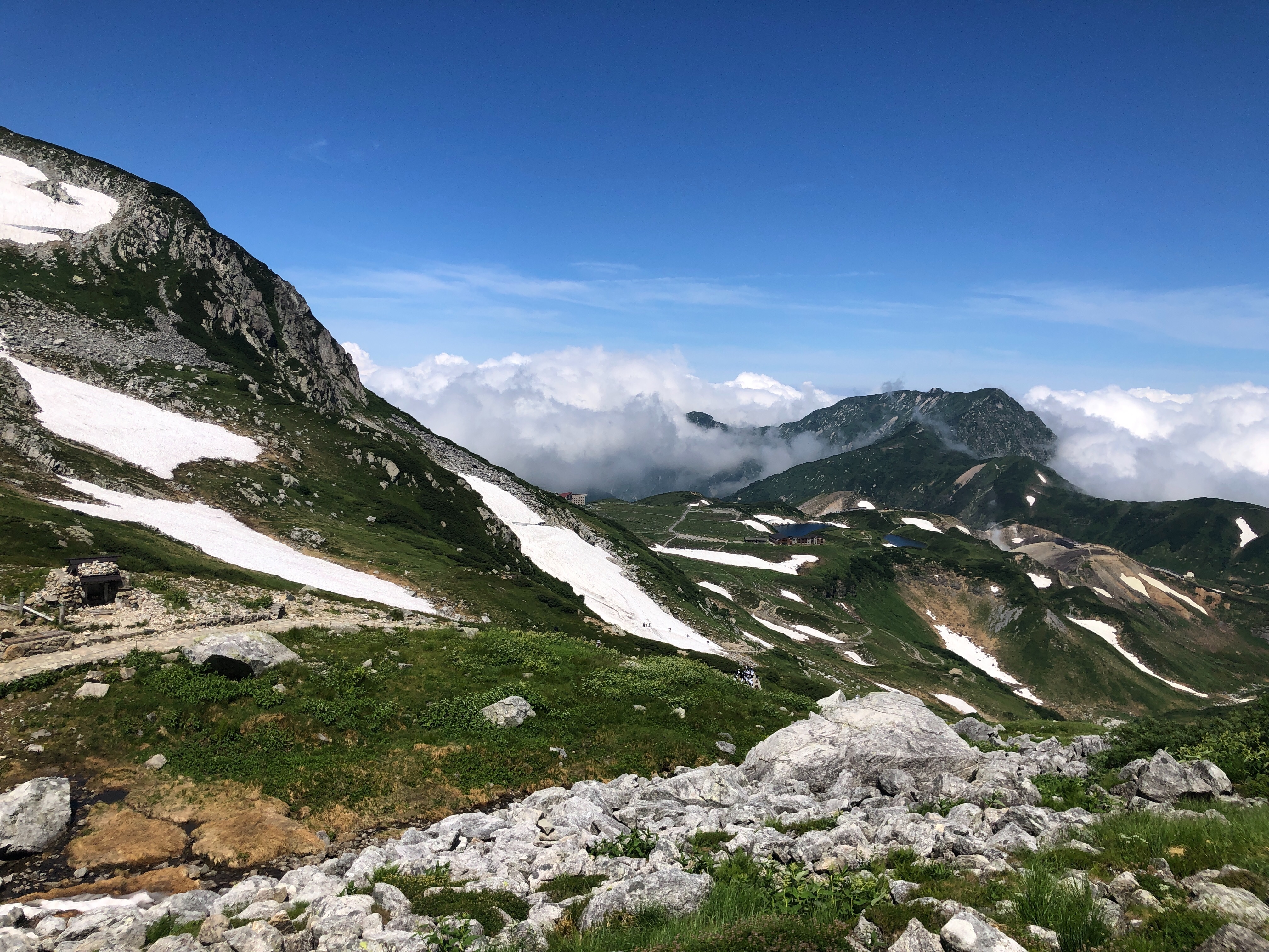 f:id:whitemountain:20250731232943j:image f:id:whitemountain:20250731232943j:image