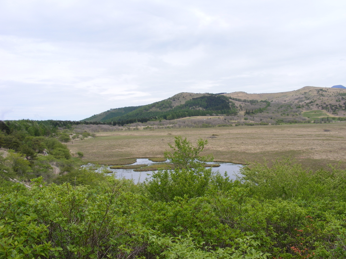 八島湿原 美ヶ原高原 コダマカイロプラクティックセンター院長ブログ