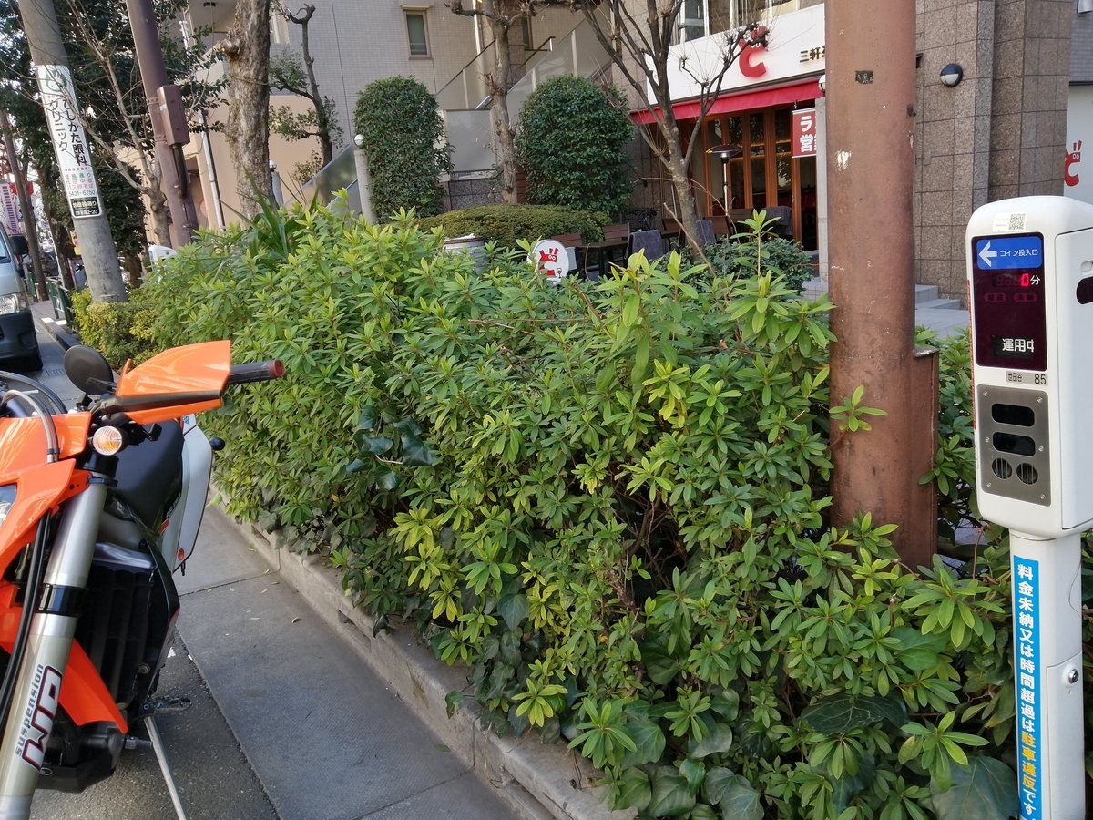 道路のコインパーキングにセンサーが反応しないままバイクを停めたら違反切符貼られるのか？ - 三軒茶屋整体コダマカイロプラクティックセンター院長ブログ