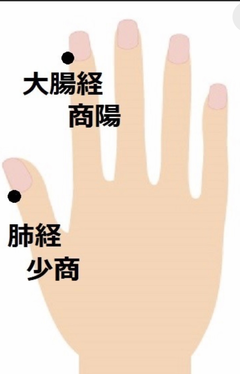 f:id:whitepearl:20200814235655j:plain