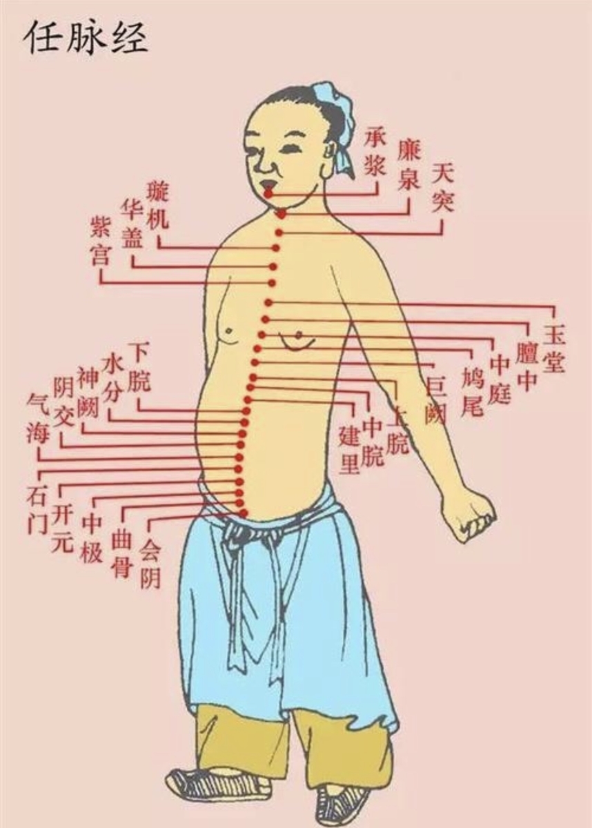 任脈と督脈 - 気功のはなし