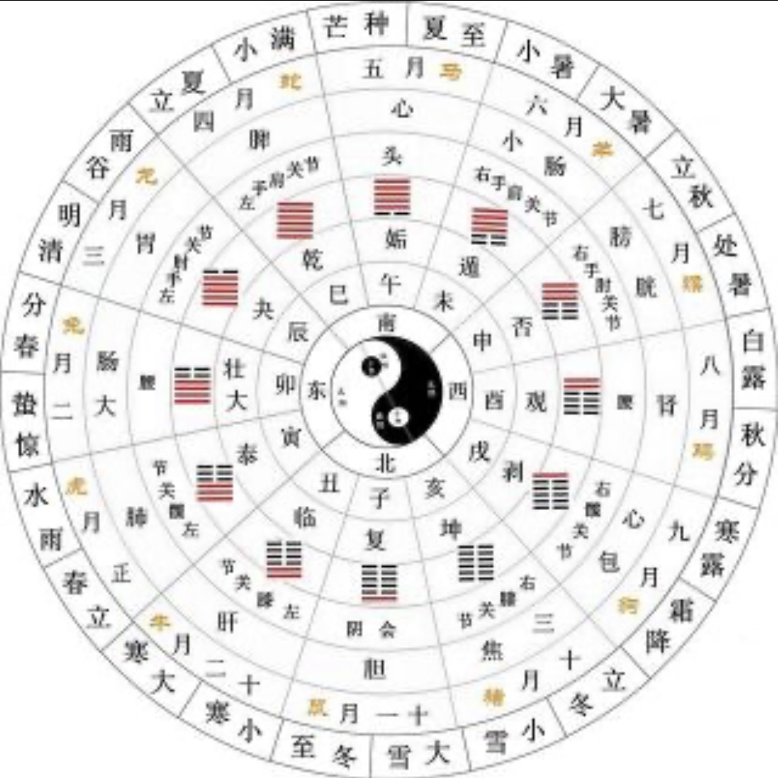 f:id:whitepearl:20210521004404j:plain