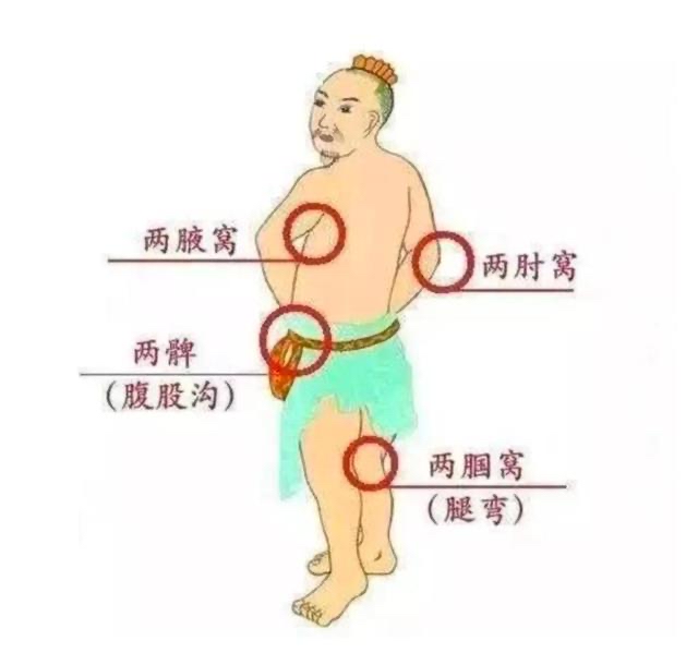 f:id:whitepearl:20210809184803j:plain