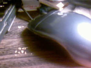 f:id:whitestoner:20100615063424j:image