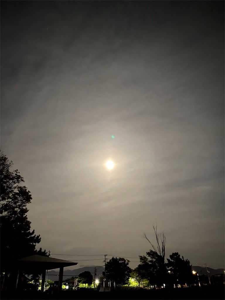 f:id:whiteswantown:20210507211952j:image f:id:whiteswantown:20210507211952j:image
