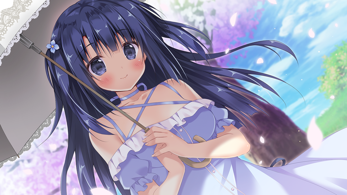 f:id:whitethrush0707:20210109170103p:plain