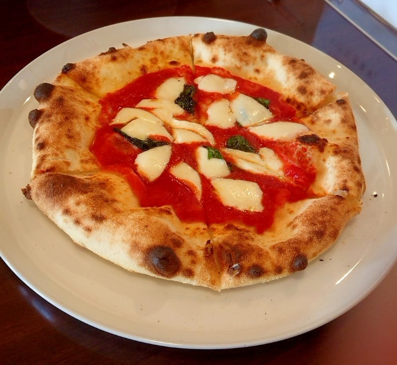 一日中満腹状態 イネムリブカ