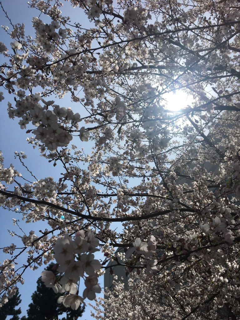 f:id:whitewind242:20170406230547j:plain f:id:whitewind242:20170406230547j:plain