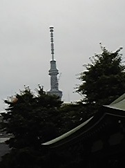 f:id:whitewitch:20110708173630j:image:w300:right