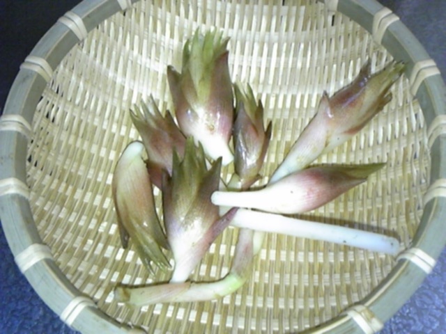 f:id:whitewitch:20120802095238j:image:w360 f:id:whitewitch:20120802095238j:image:w360