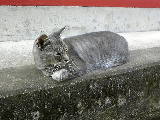 f:id:whitewitch:20120916102021j:image:w360