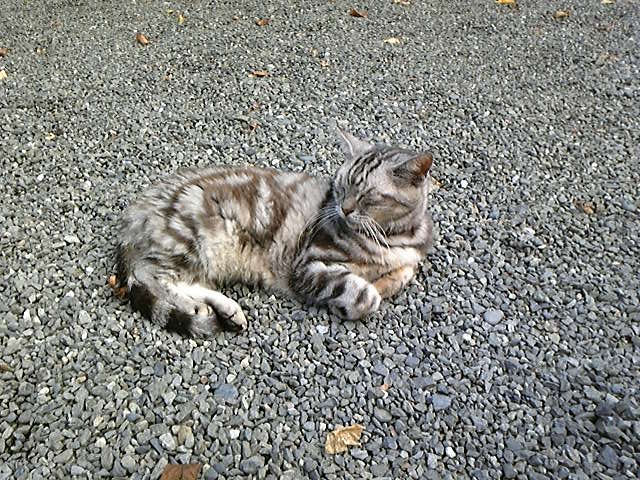 f:id:whitewitch:20120917155115j:image:w360